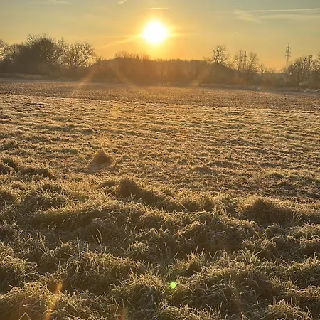 Organgerie Lemon Loft *