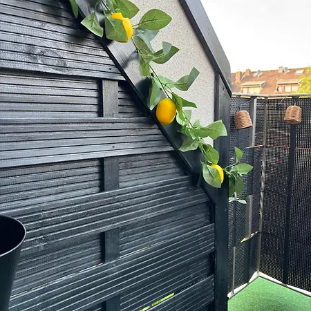 Organgerie Lemon Loft Apartment