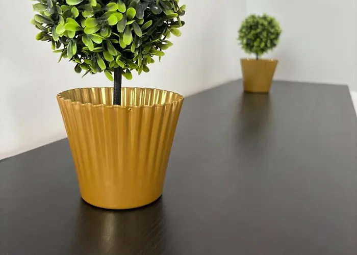 Organgerie Lemon Loft